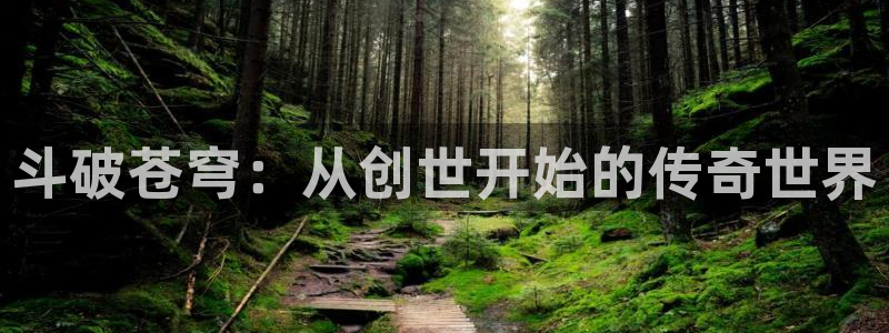 ios拷贝漫画网址：斗破苍穹：从创世开始的传奇世界