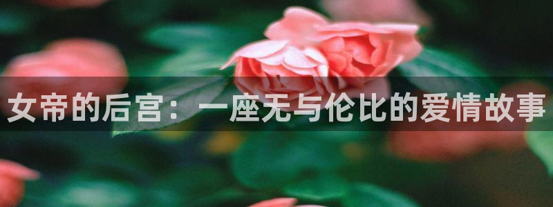 拷贝漫画下载网址：女帝的后宫：一座无与伦比的爱情故事