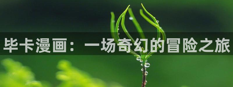 彻夜之歌拷贝漫画：毕卡漫画：一场奇幻的冒险之旅